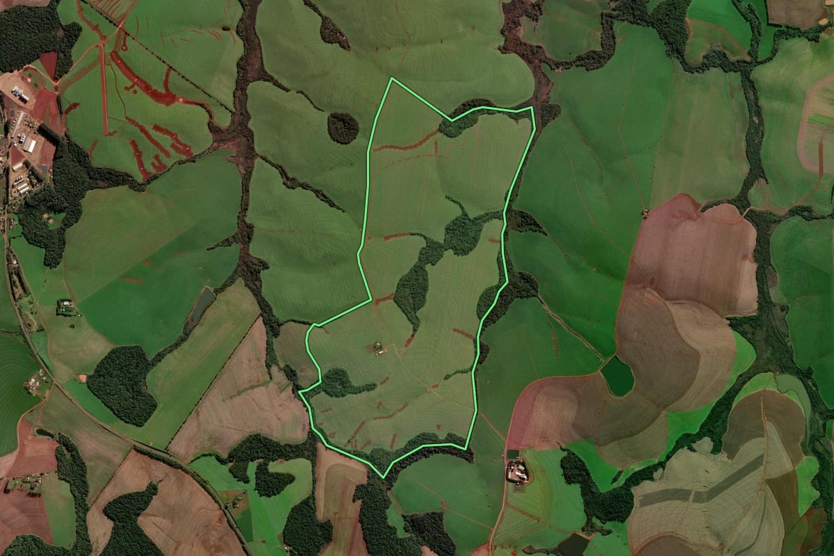 Imagem de satélite do imóvel rural em Palmeira das Missões (RS), com o contorno declarado no CAR desenhado por cima.