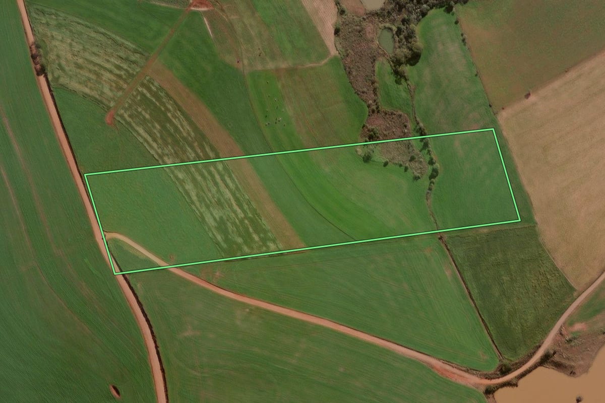 Imagem de satélite do imóvel rural em Palmeira das Missões (RS), com o contorno declarado no CAR desenhado por cima.