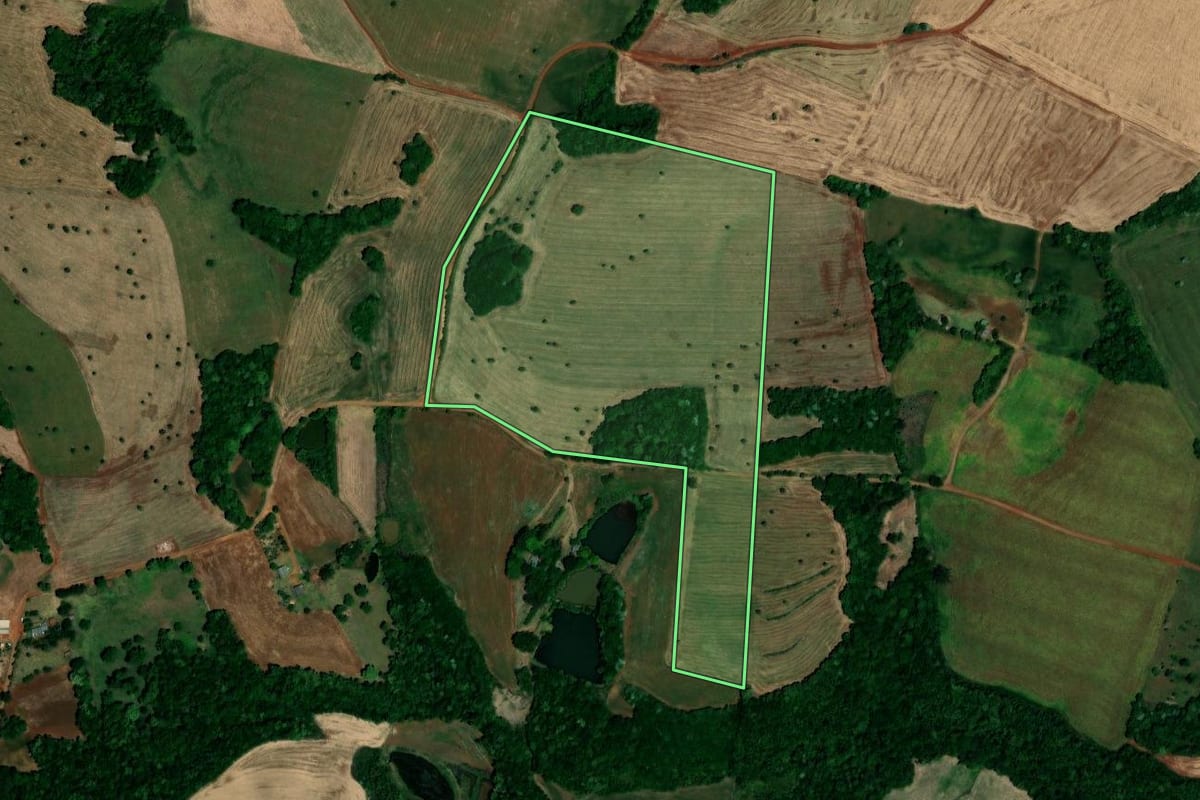 Imagem de satélite do imóvel rural em Palmeira das Missões (RS), com o contorno declarado no CAR desenhado por cima.