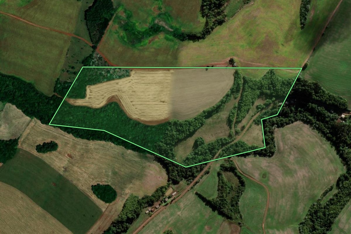 Imagem de satélite do imóvel rural em Palmeira das Missões (RS), com o contorno declarado no CAR desenhado por cima.