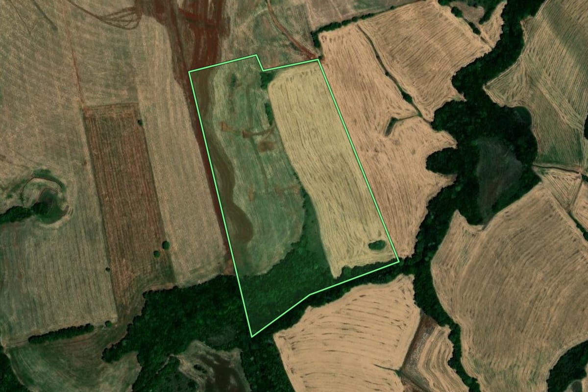 Imagem de satélite do imóvel rural em Palmeira das Missões (RS), com o contorno declarado no CAR desenhado por cima.