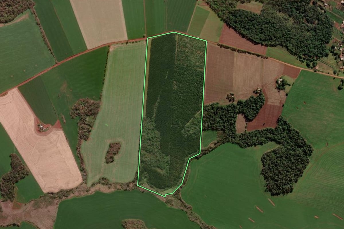 Imagem de satélite do imóvel rural em Palmeira das Missões (RS), com o contorno declarado no CAR desenhado por cima.