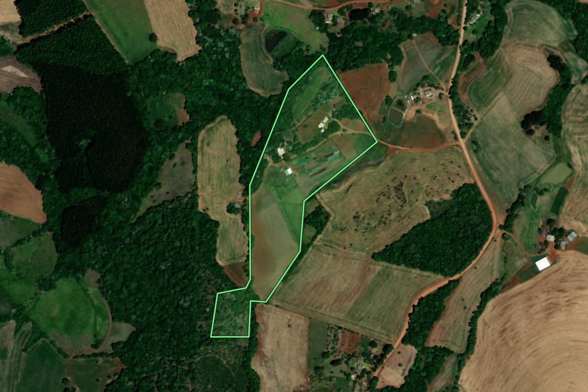 Imagem de satélite do imóvel rural em Palmeira das Missões (RS), com o contorno declarado no CAR desenhado por cima.