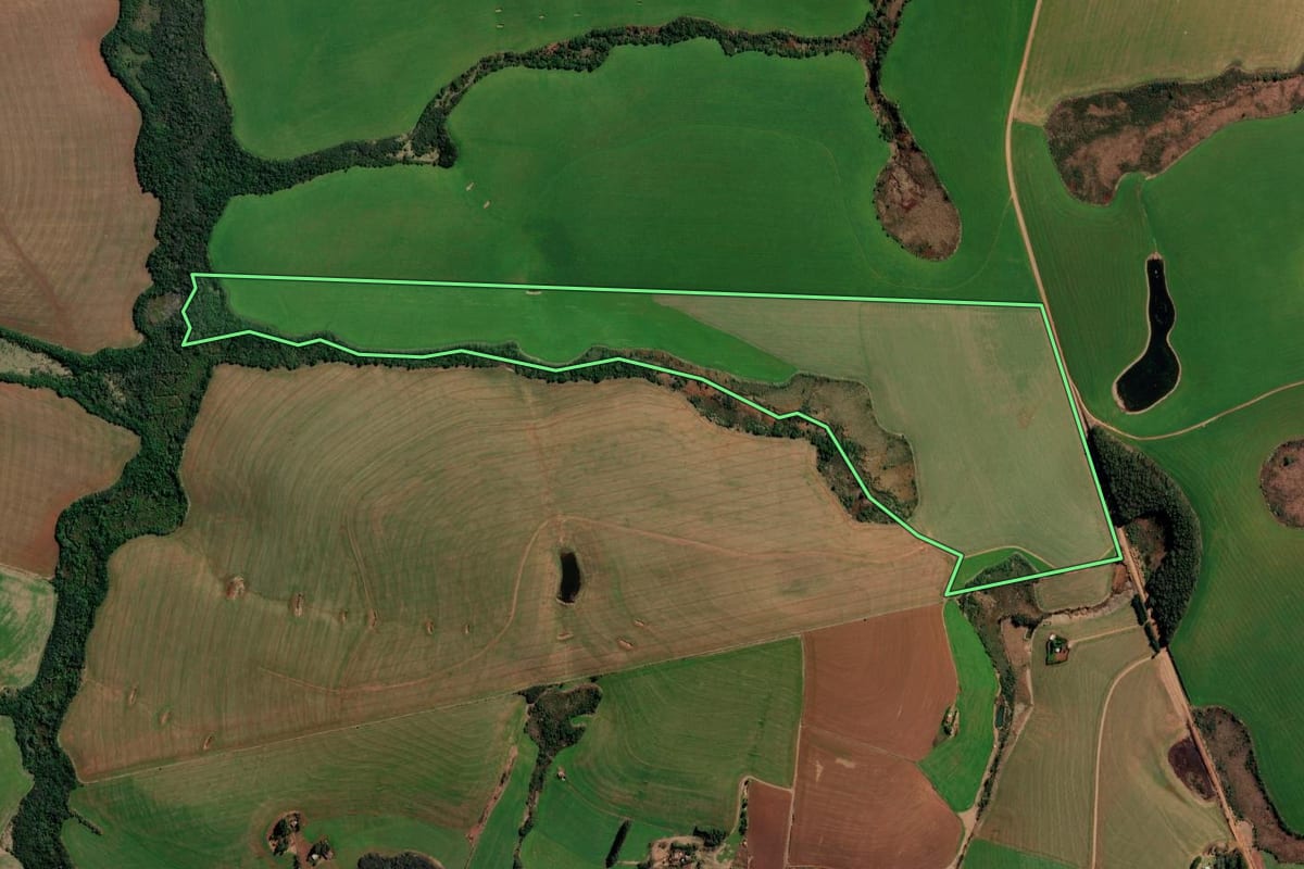 Imagem de satélite do imóvel rural em Palmeira das Missões (RS), com o contorno declarado no CAR desenhado por cima.