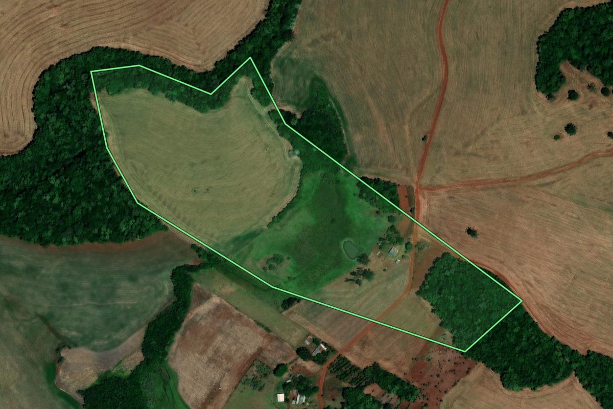 Imagem de satélite do imóvel rural em Palmeira das Missões (RS), com o contorno declarado no CAR desenhado por cima.