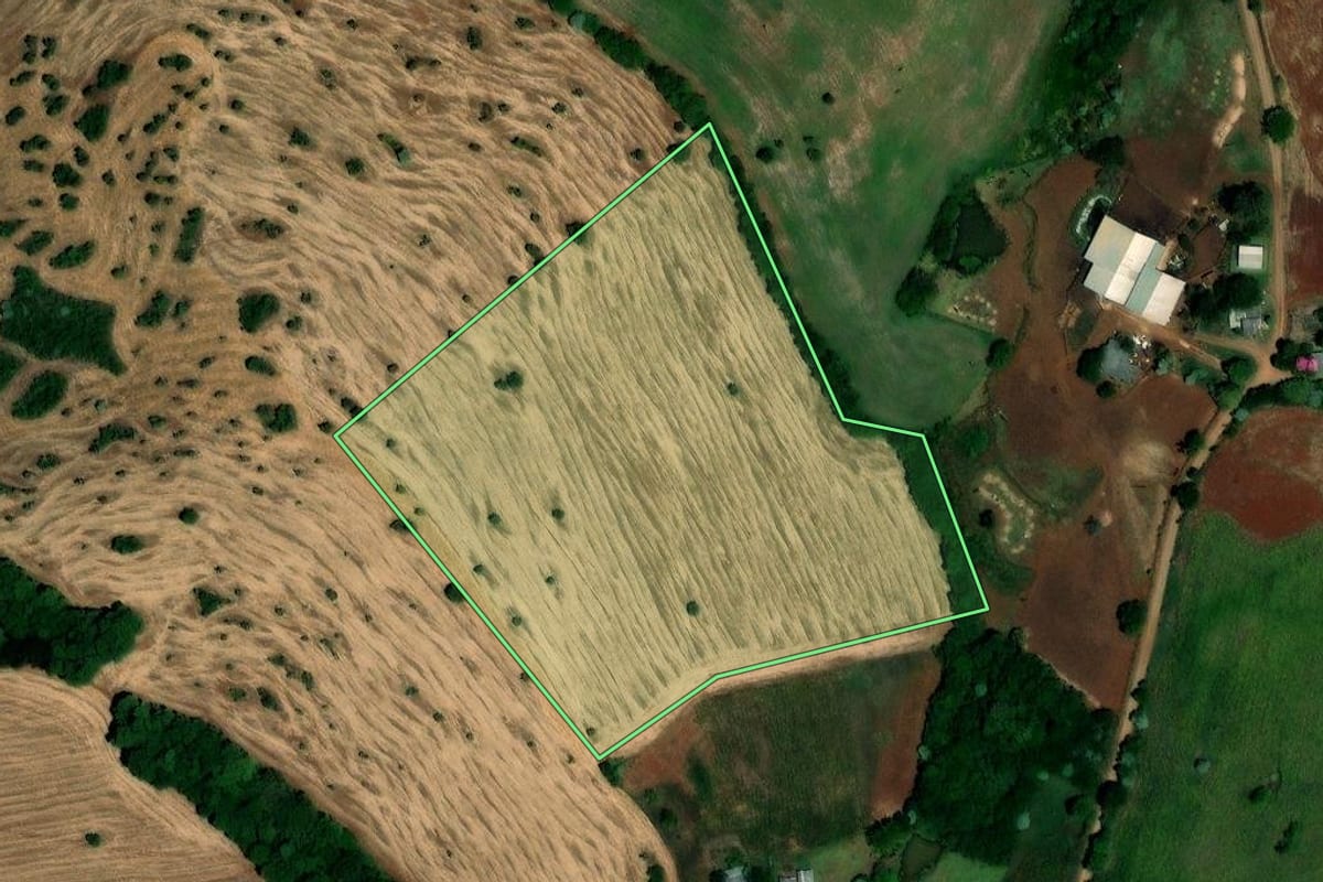 Imagem de satélite do imóvel rural em Palmeira das Missões (RS), com o contorno declarado no CAR desenhado por cima.