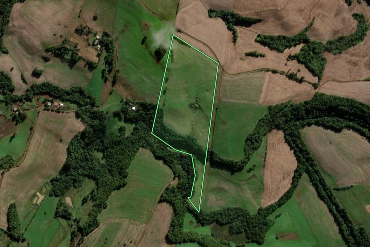 Imagem de satélite do imóvel rural em Palmeira das Missões (RS), com o contorno declarado no CAR desenhado por cima.