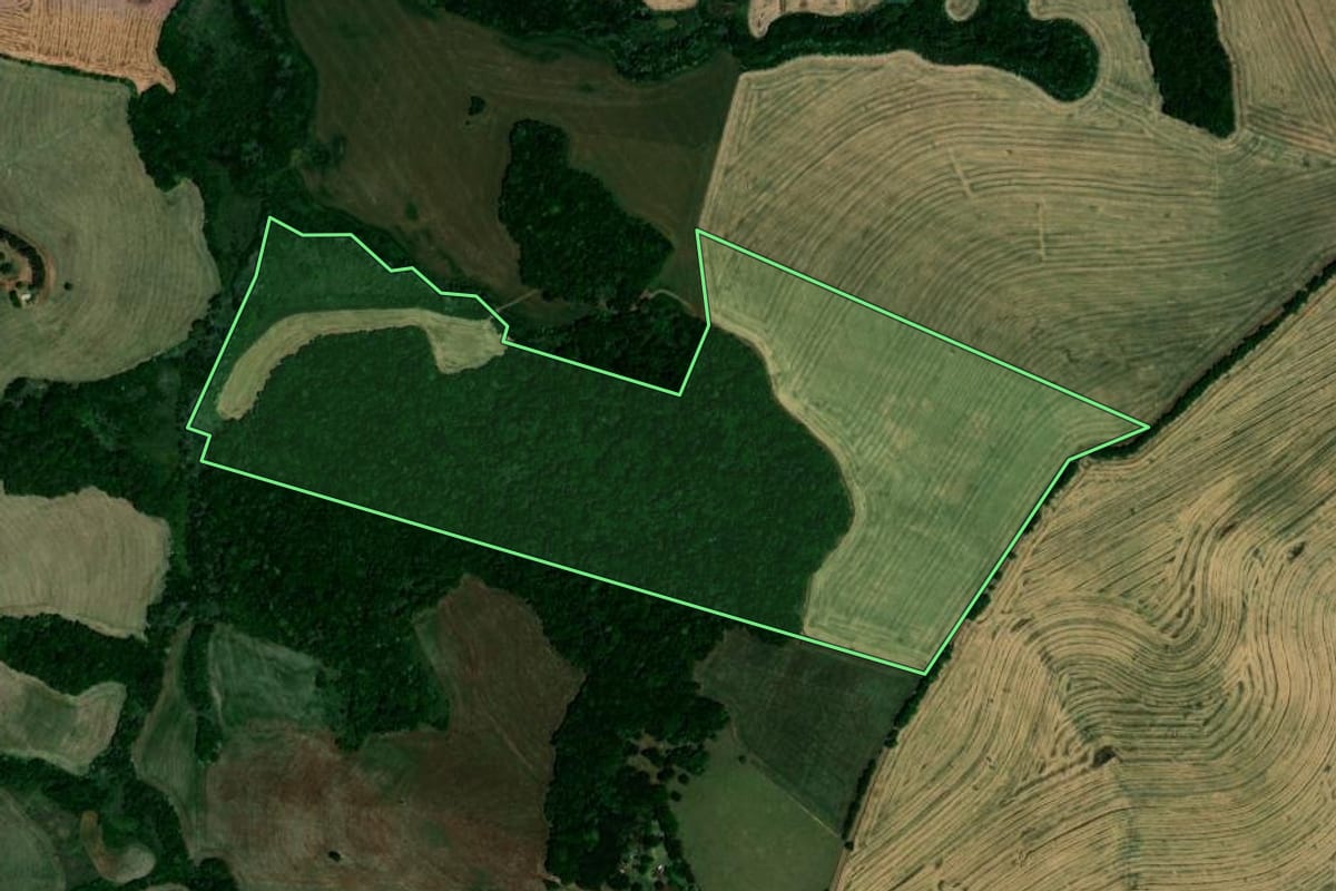 Imagem de satélite do imóvel rural em Palmeira das Missões (RS), com o contorno declarado no CAR desenhado por cima.