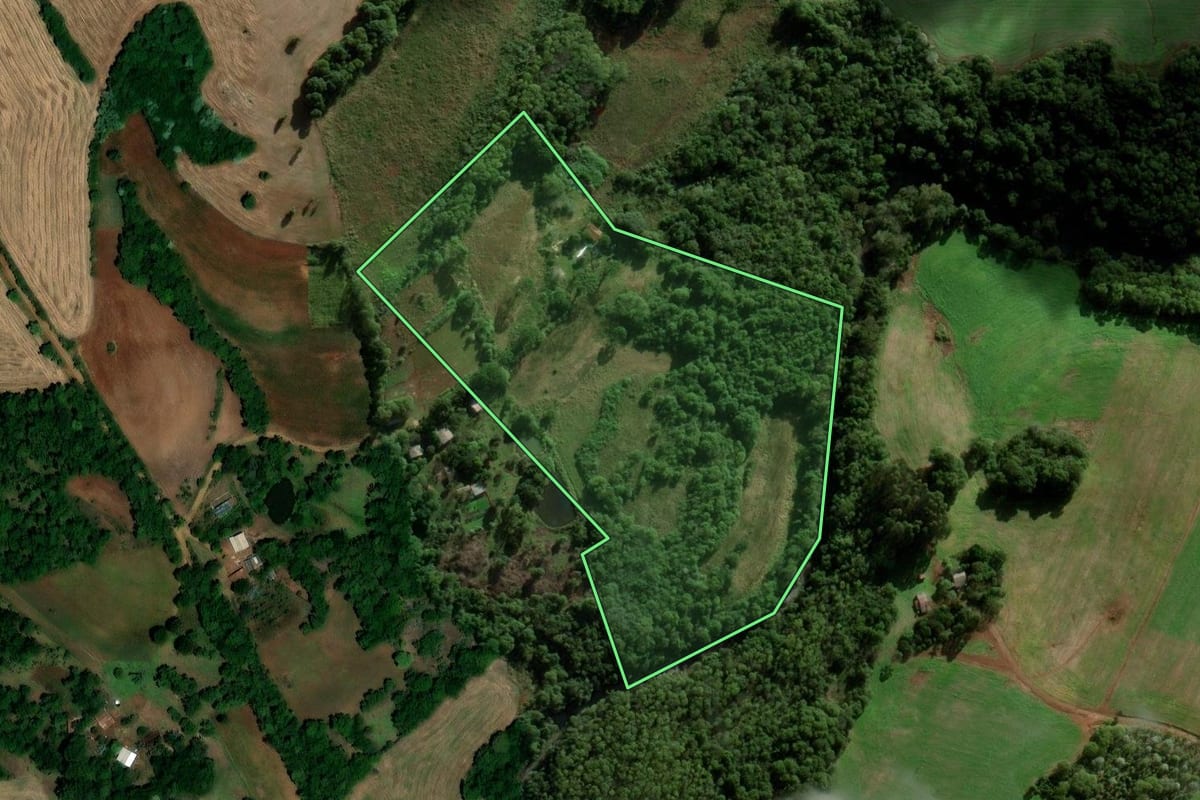 Imagem de satélite do imóvel rural em Palmeira das Missões (RS), com o contorno declarado no CAR desenhado por cima.