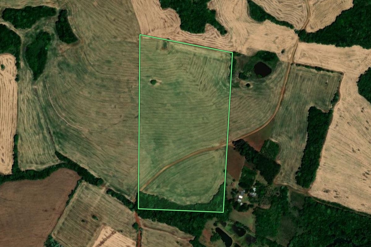 Imagem de satélite do imóvel rural em Palmeira das Missões (RS), com o contorno declarado no CAR desenhado por cima.