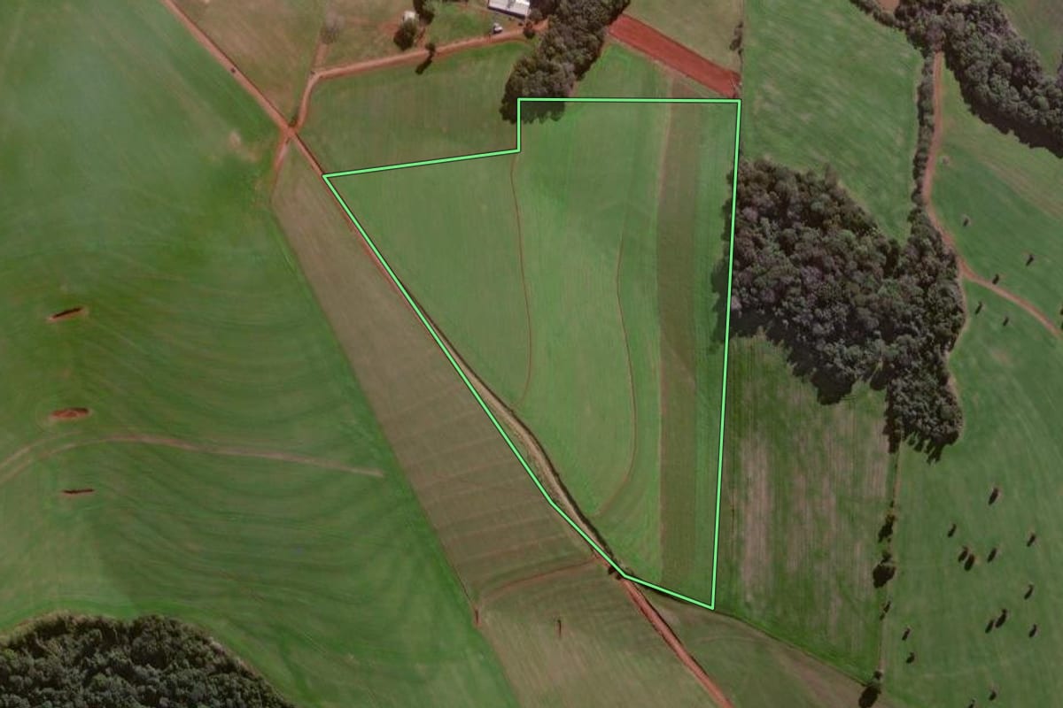 Imagem de satélite do imóvel rural em Palmeira das Missões (RS), com o contorno declarado no CAR desenhado por cima.