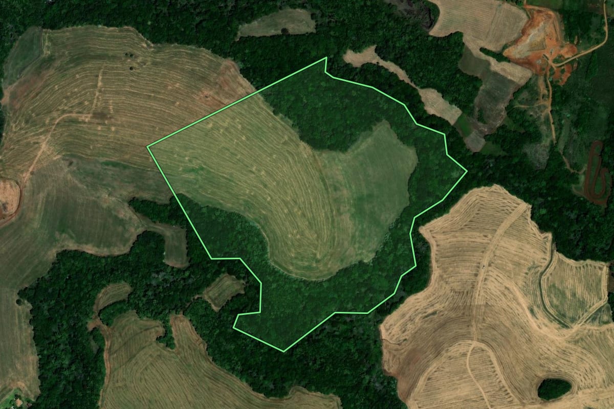 Imagem de satélite do imóvel rural em Palmeira das Missões (RS), com o contorno declarado no CAR desenhado por cima.