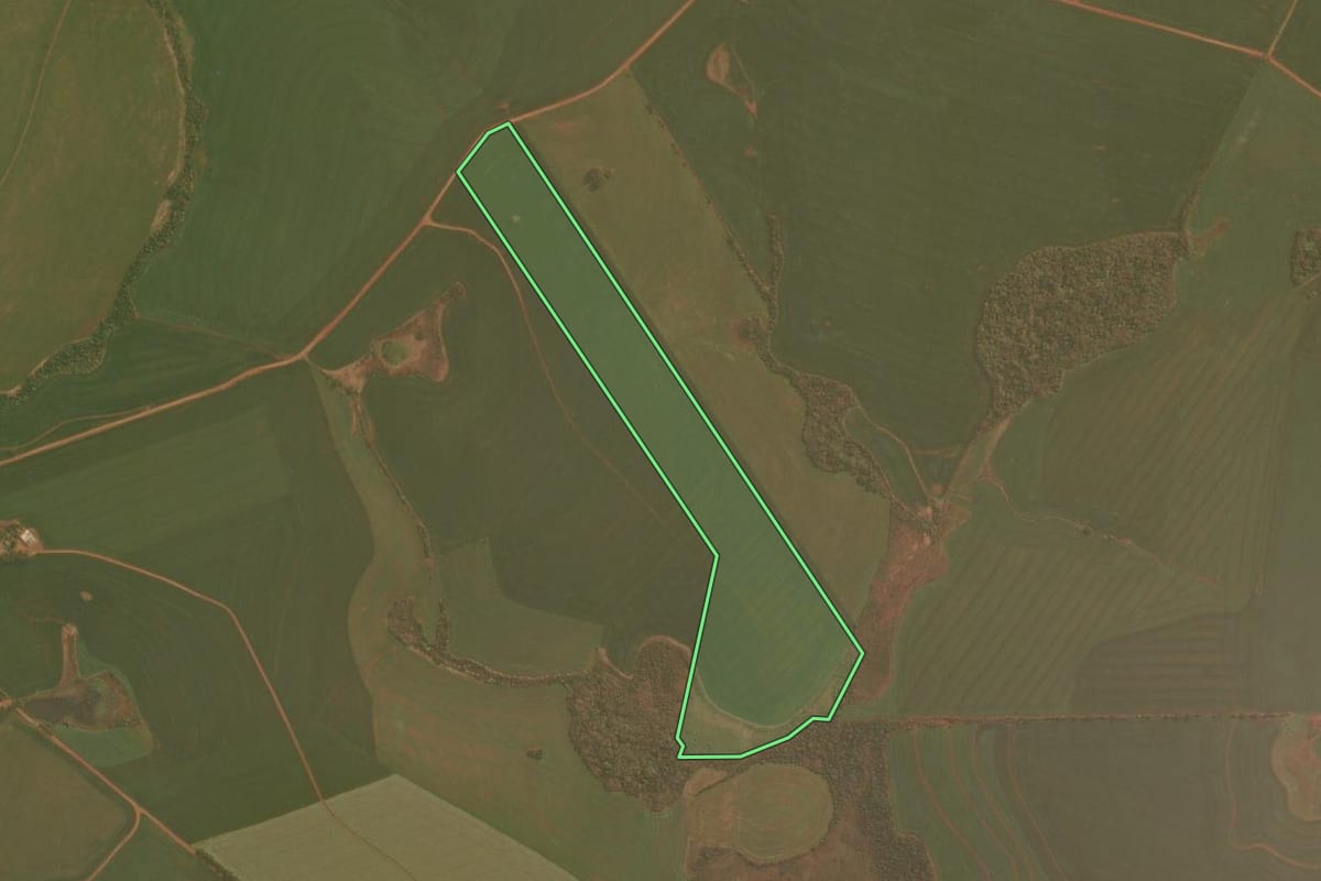 Imagem de satélite do imóvel rural em Palmeira das Missões (RS), com o contorno declarado no CAR desenhado por cima.