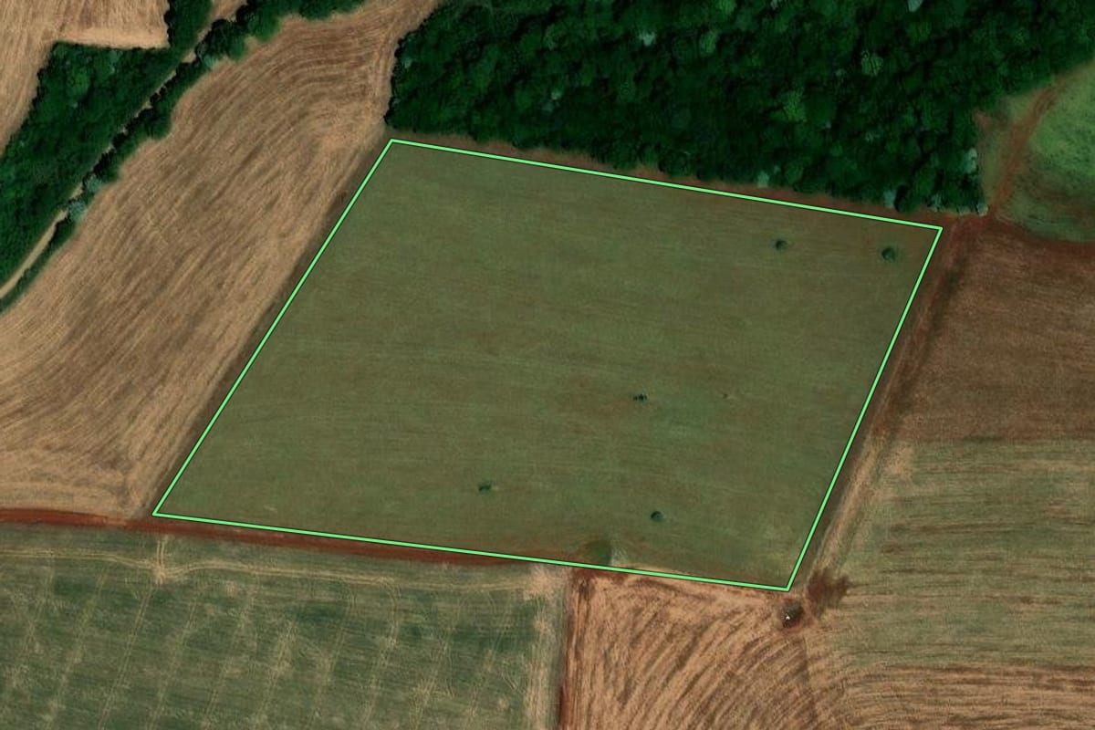 Imagem de satélite do imóvel rural em Palmeira das Missões (RS), com o contorno declarado no CAR desenhado por cima.