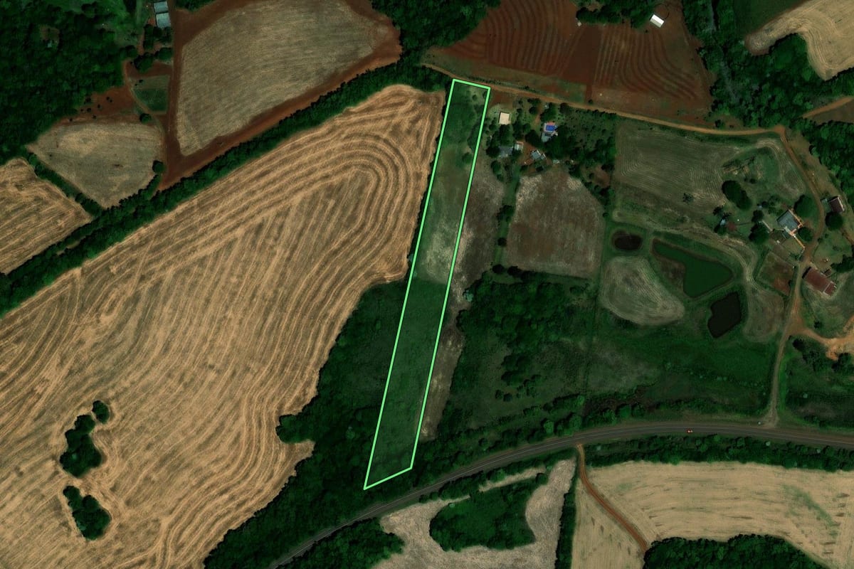 Imagem de satélite do imóvel rural em Palmeira das Missões (RS), com o contorno declarado no CAR desenhado por cima.