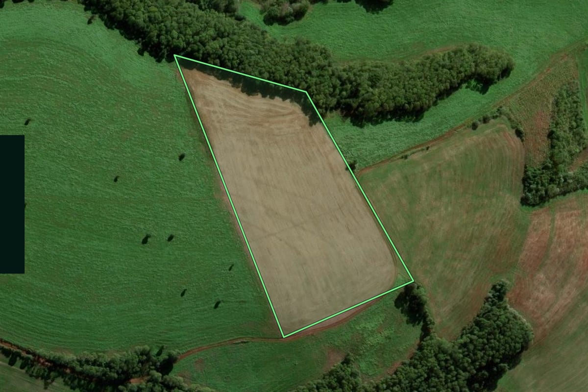 Imagem de satélite do imóvel rural em Palmeira das Missões (RS), com o contorno declarado no CAR desenhado por cima.