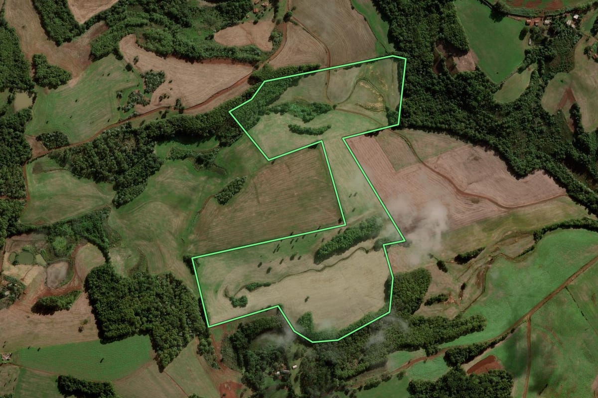 Imagem de satélite do imóvel rural em Palmeira das Missões (RS), com o contorno declarado no CAR desenhado por cima.
