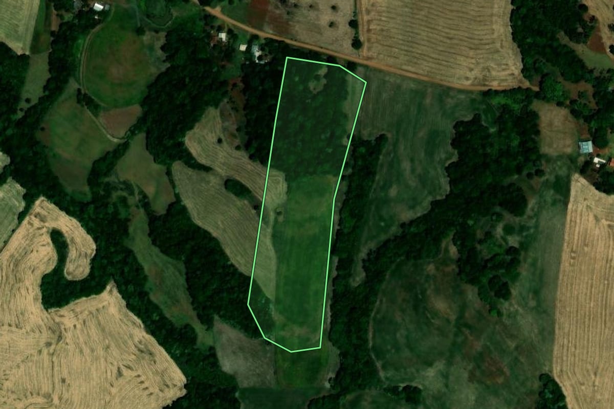 Imagem de satélite do imóvel rural em Palmeira das Missões (RS), com o contorno declarado no CAR desenhado por cima.