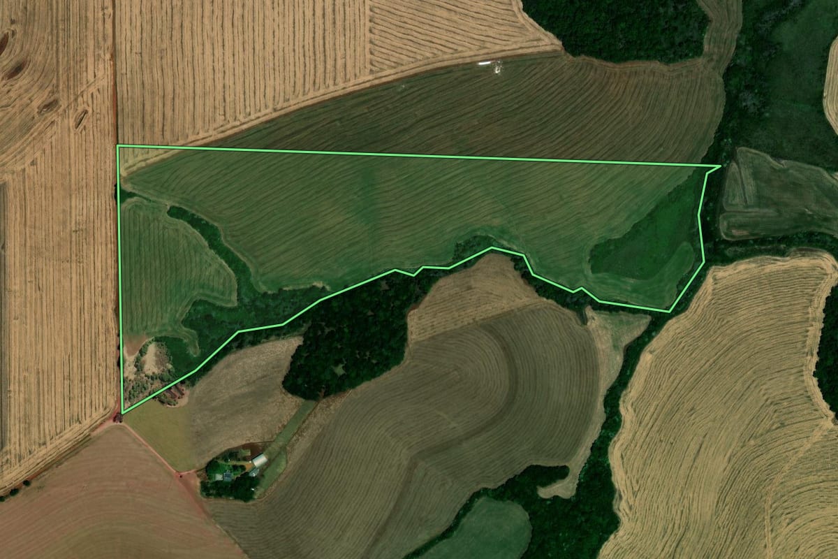 Imagem de satélite do imóvel rural em Palmeira das Missões (RS), com o contorno declarado no CAR desenhado por cima.