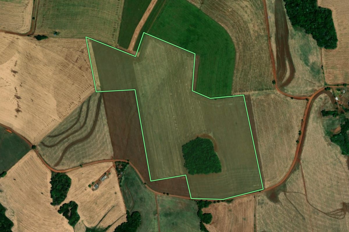 Imagem de satélite do imóvel rural em Palmeira das Missões (RS), com o contorno declarado no CAR desenhado por cima.