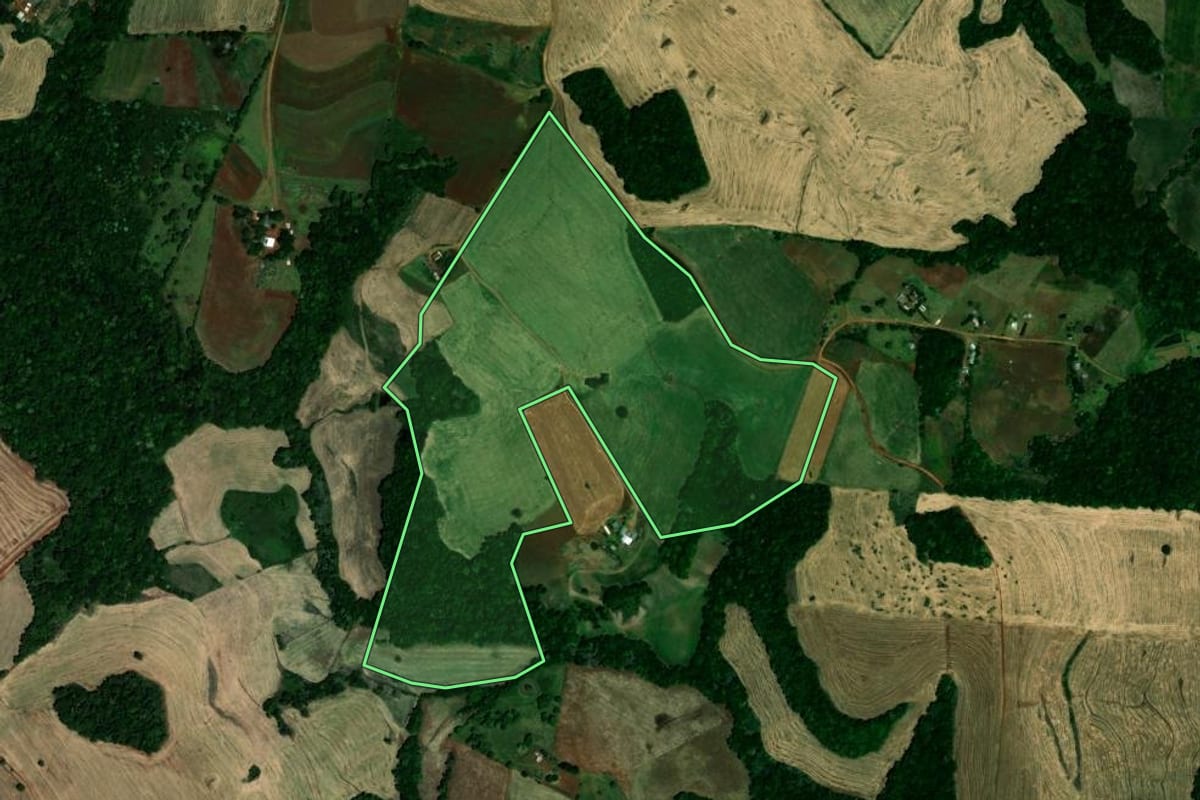 Imagem de satélite do imóvel rural em Palmeira das Missões (RS), com o contorno declarado no CAR desenhado por cima.