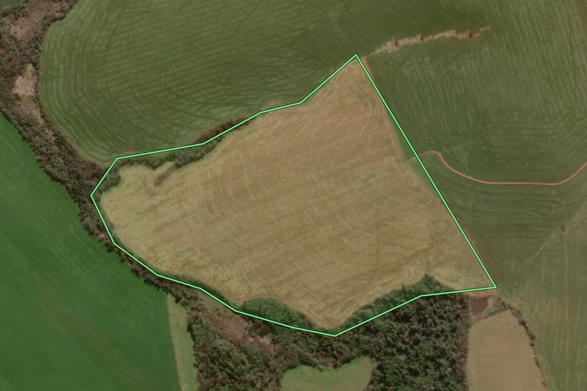 Imagem de satélite do imóvel rural em Palmeira das Missões (RS), com o contorno declarado no CAR desenhado por cima.