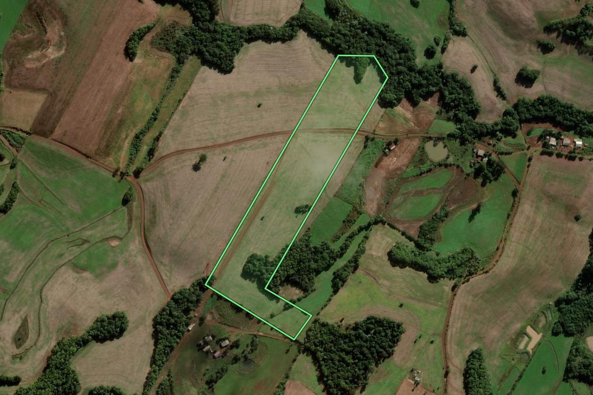 Imagem de satélite do imóvel rural em Palmeira das Missões (RS), com o contorno declarado no CAR desenhado por cima.
