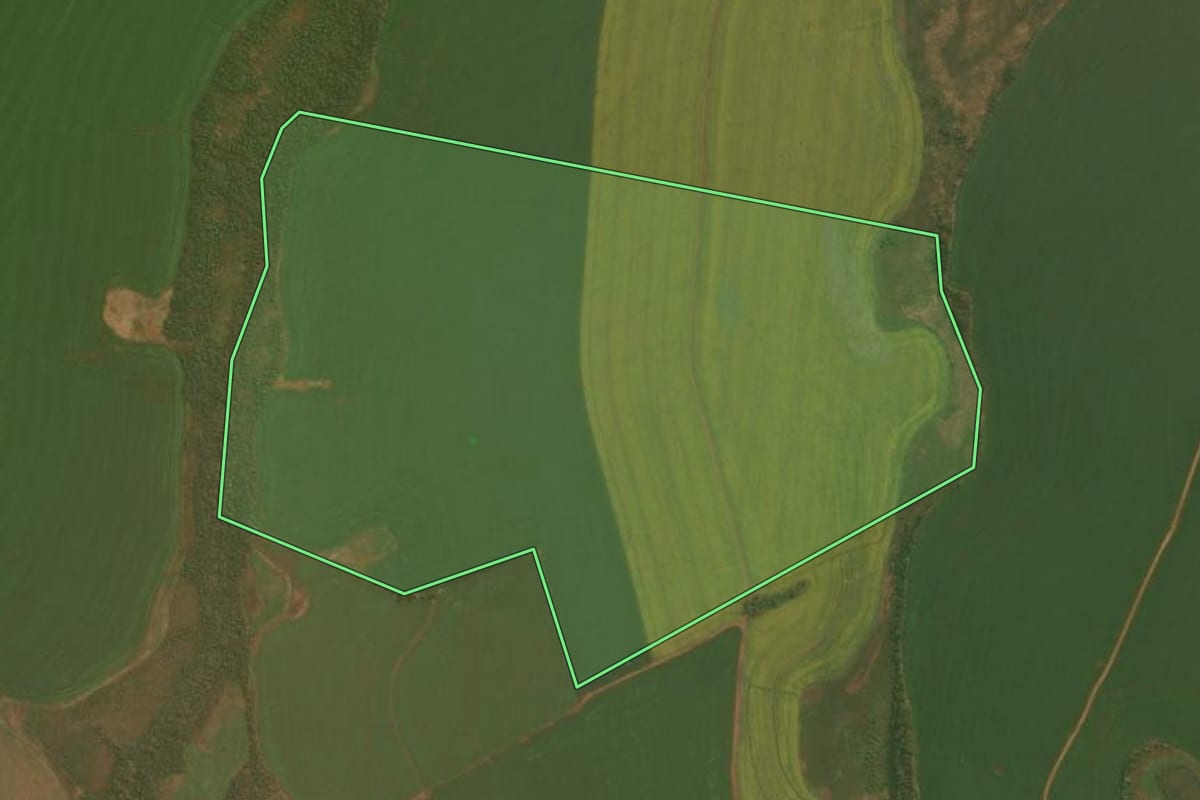 Imagem de satélite do imóvel rural em Palmeira das Missões (RS), com o contorno declarado no CAR desenhado por cima.