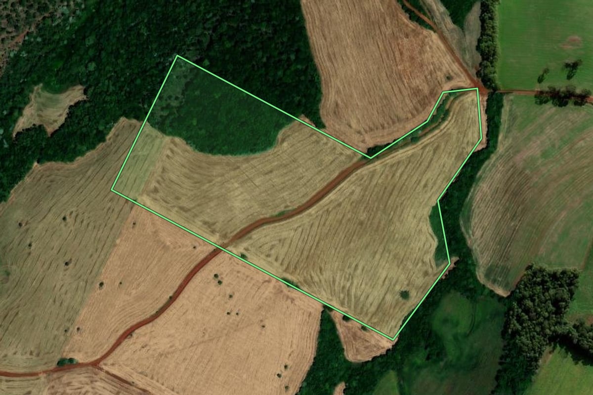 Imagem de satélite do imóvel rural em Palmeira das Missões (RS), com o contorno declarado no CAR desenhado por cima.