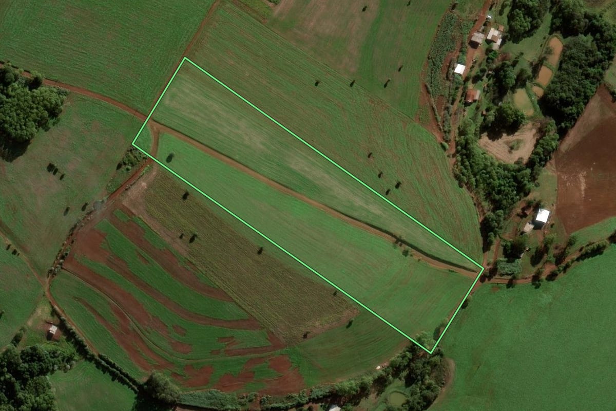 Imagem de satélite do imóvel rural em Palmeira das Missões (RS), com o contorno declarado no CAR desenhado por cima.