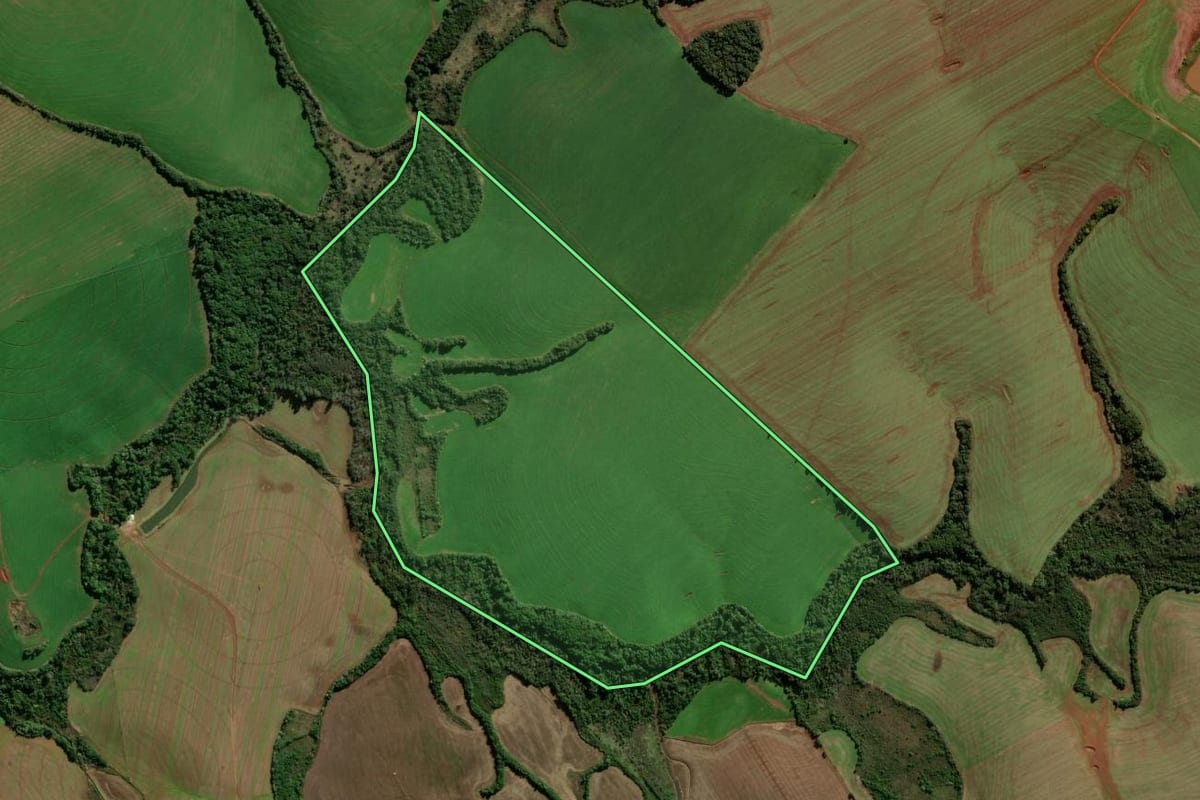 Imagem de satélite do imóvel rural em Palmeira das Missões (RS), com o contorno declarado no CAR desenhado por cima.