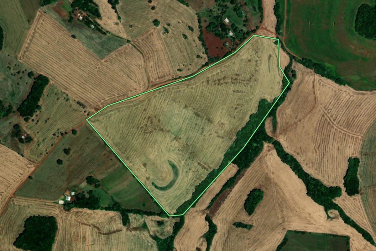 Imagem de satélite do imóvel rural em Palmeira das Missões (RS), com o contorno declarado no CAR desenhado por cima.
