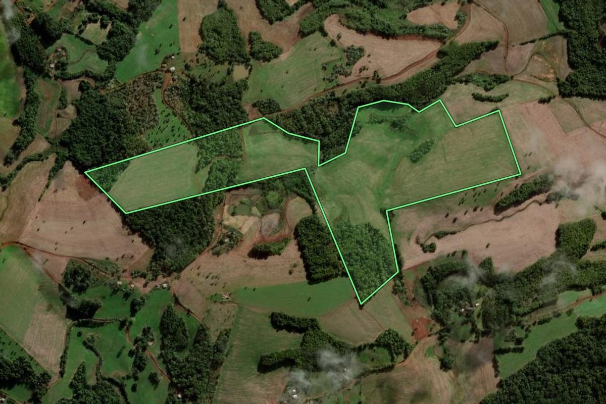 Imagem de satélite do imóvel rural em Palmeira das Missões (RS), com o contorno declarado no CAR desenhado por cima.