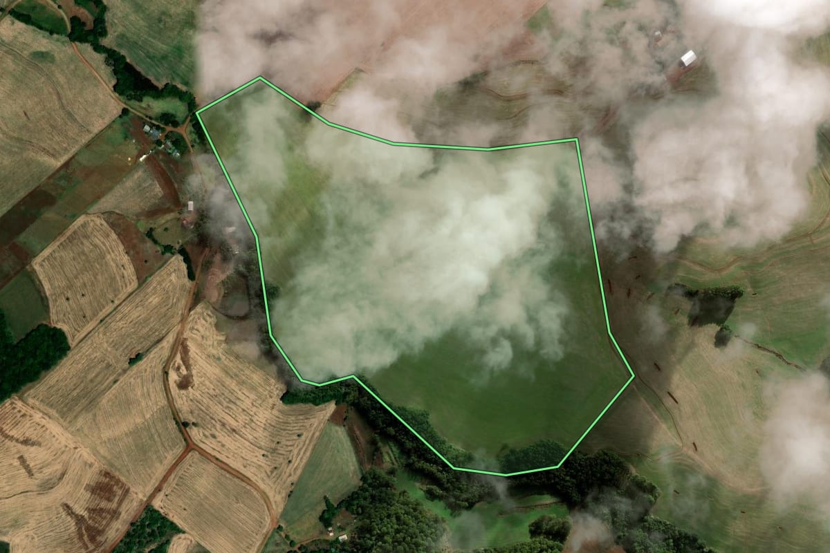 Imagem de satélite do imóvel rural em Palmeira das Missões (RS), com o contorno declarado no CAR desenhado por cima.