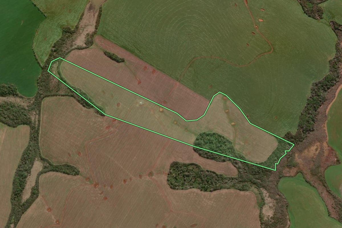 Imagem de satélite do imóvel rural em Palmeira das Missões (RS), com o contorno declarado no CAR desenhado por cima.