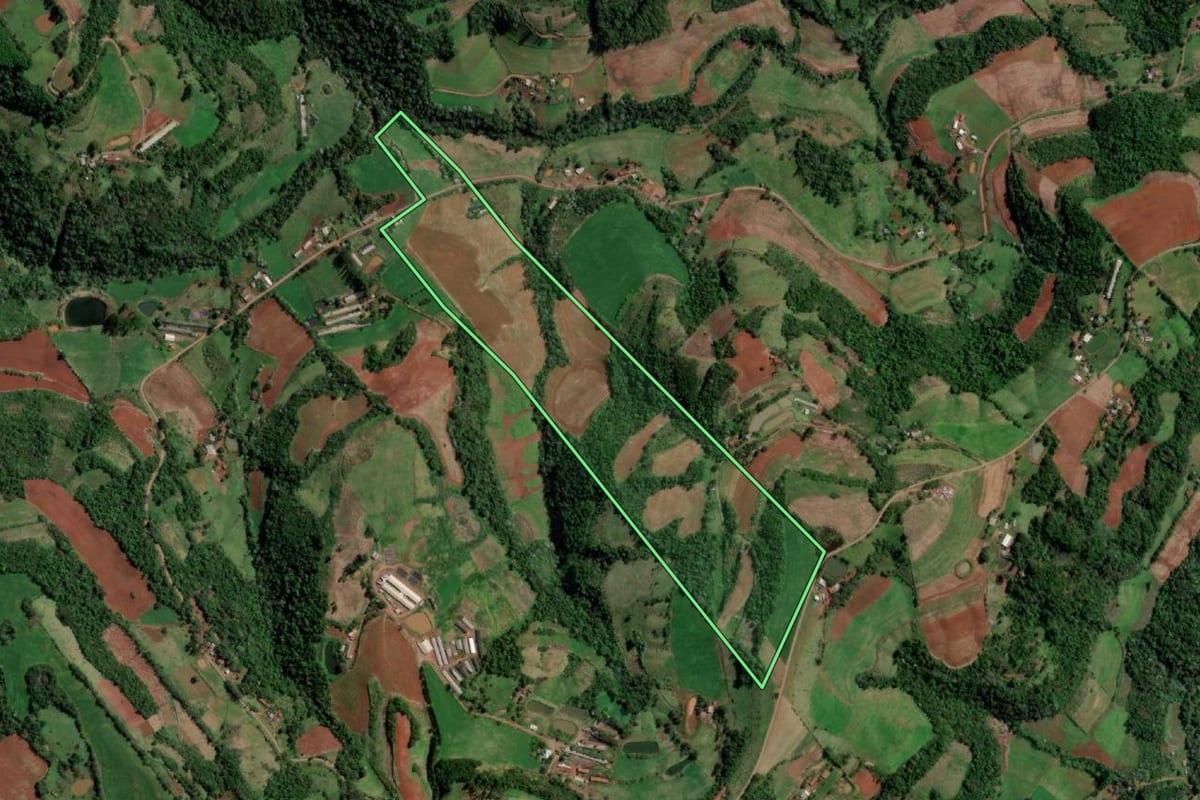 Imagem de satélite do imóvel rural em Palmitinho (RS), com o contorno declarado no CAR desenhado por cima.