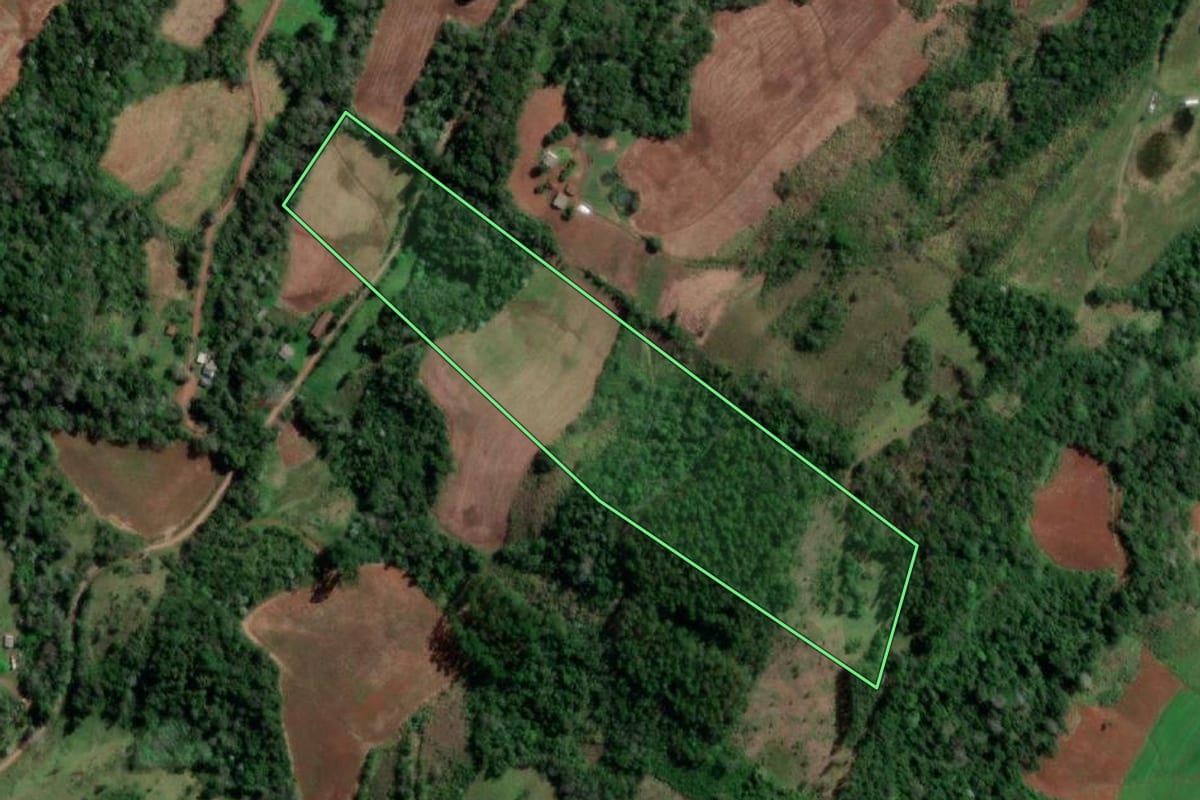 Imagem de satélite do imóvel rural em Palmitinho (RS), com o contorno declarado no CAR desenhado por cima.