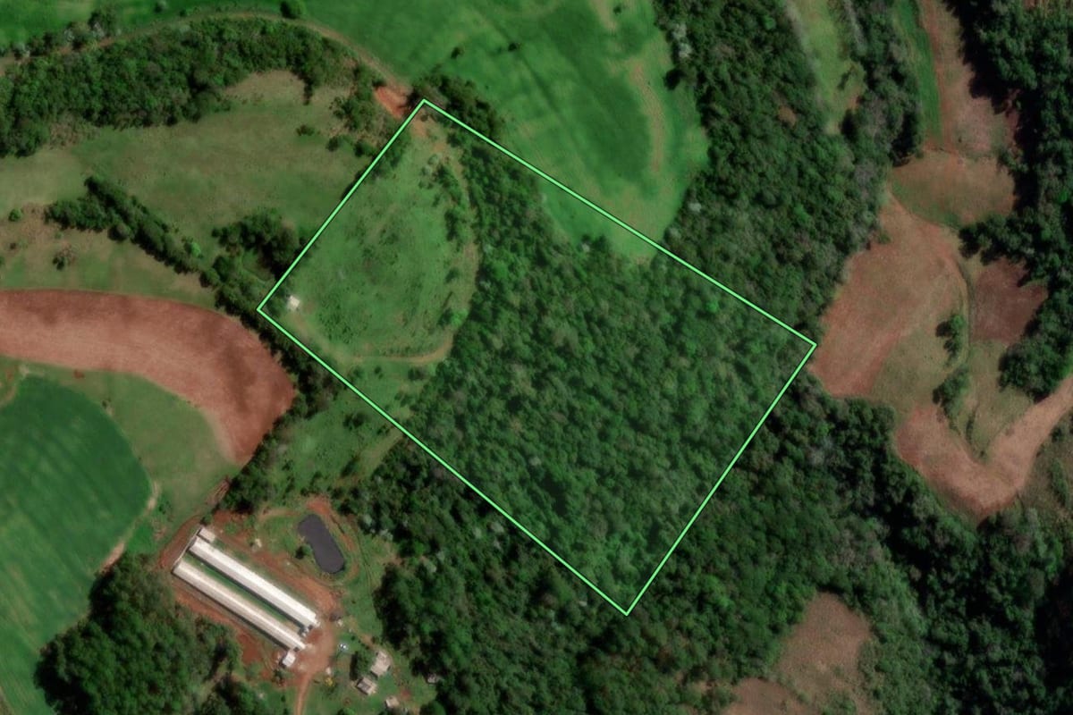 Imagem de satélite do imóvel rural em Palmitinho (RS), com o contorno declarado no CAR desenhado por cima.