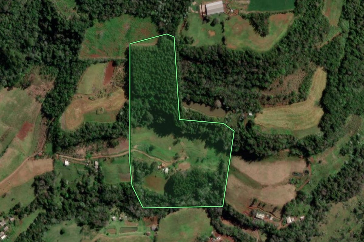 Imagem de satélite do imóvel rural em Palmitinho (RS), com o contorno declarado no CAR desenhado por cima.