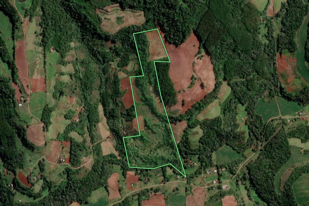 Imagem de satélite do imóvel rural em Palmitinho (RS), com o contorno declarado no CAR desenhado por cima.