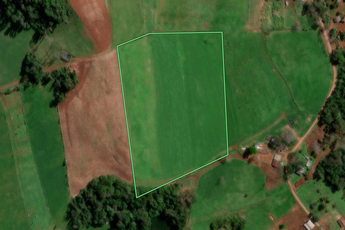 Imagem de satélite do imóvel rural em Palmitinho (RS), com o contorno declarado no CAR desenhado por cima.