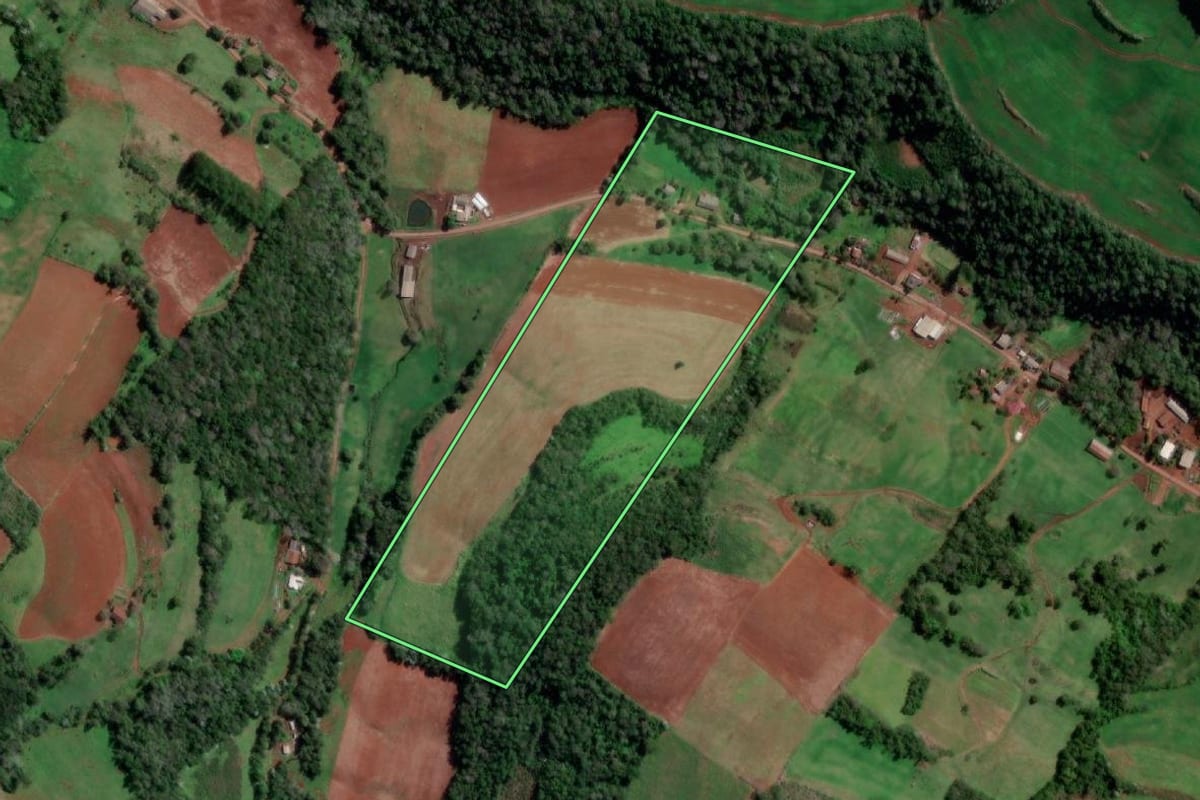 Imagem de satélite do imóvel rural em Palmitinho (RS), com o contorno declarado no CAR desenhado por cima.