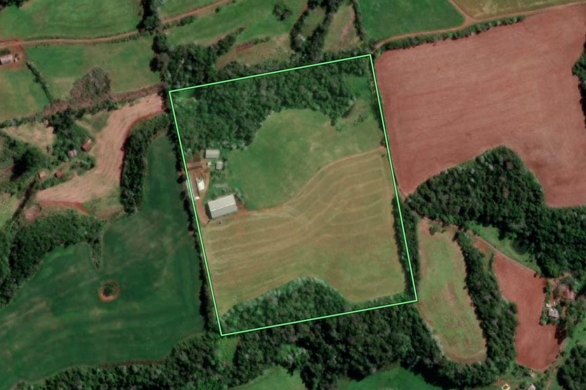 Imagem de satélite do imóvel rural em Palmitinho (RS), com o contorno declarado no CAR desenhado por cima.