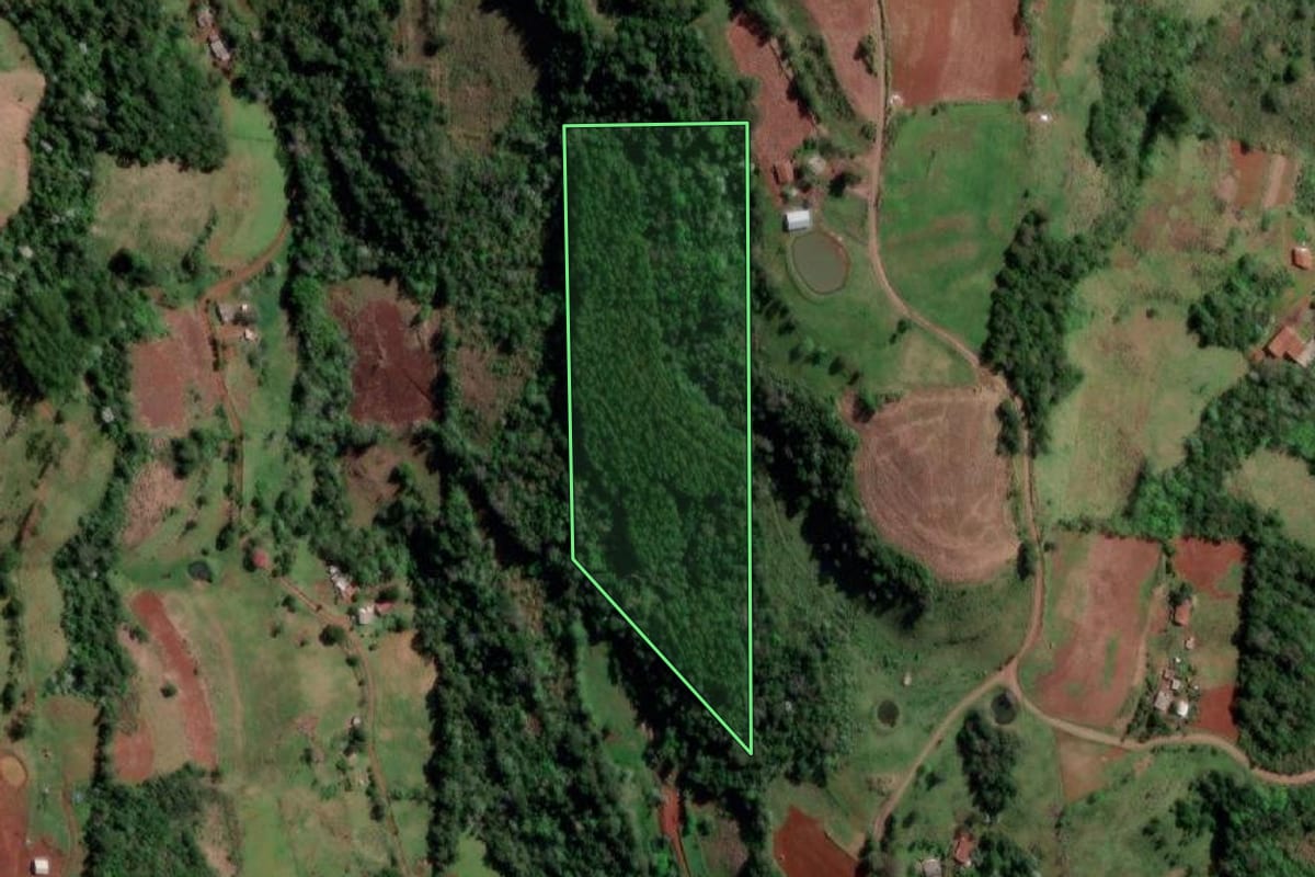 Imagem de satélite do imóvel rural em Palmitinho (RS), com o contorno declarado no CAR desenhado por cima.