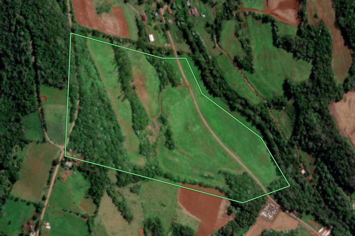Imagem de satélite do imóvel rural em Palmitinho (RS), com o contorno declarado no CAR desenhado por cima.