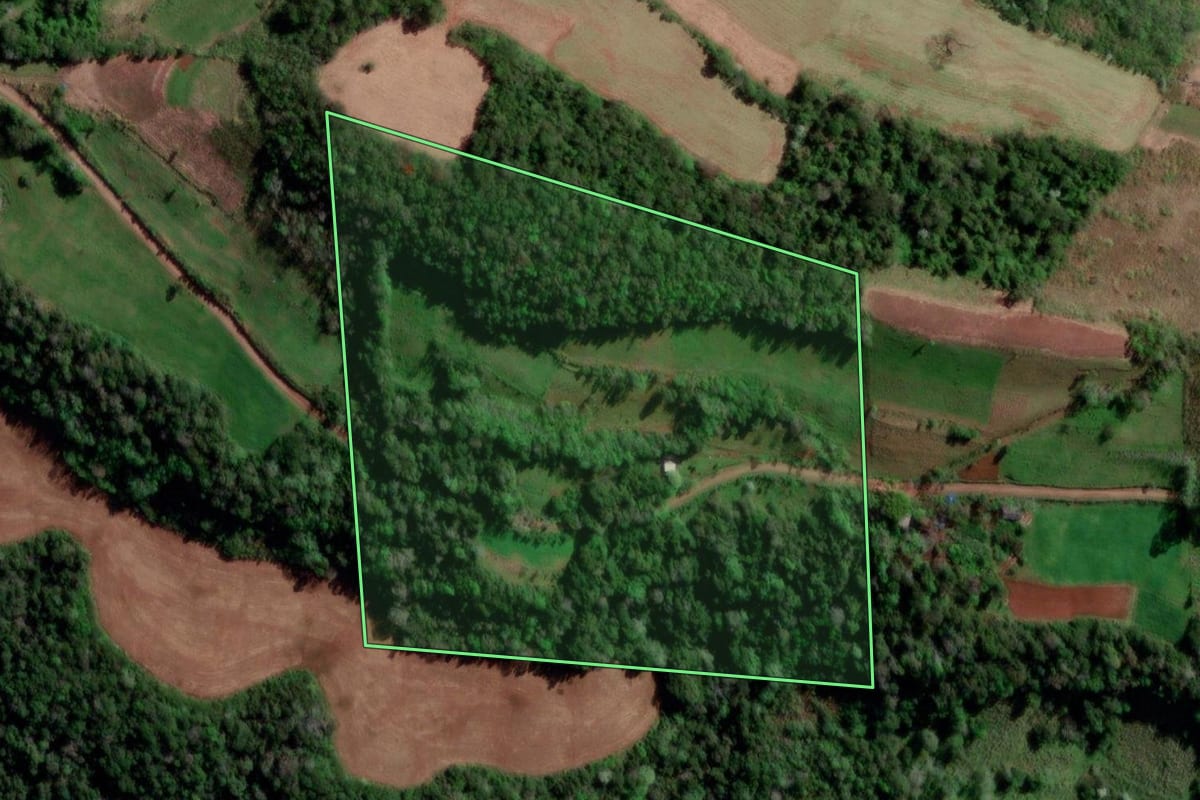 Imagem de satélite do imóvel rural em Palmitinho (RS), com o contorno declarado no CAR desenhado por cima.