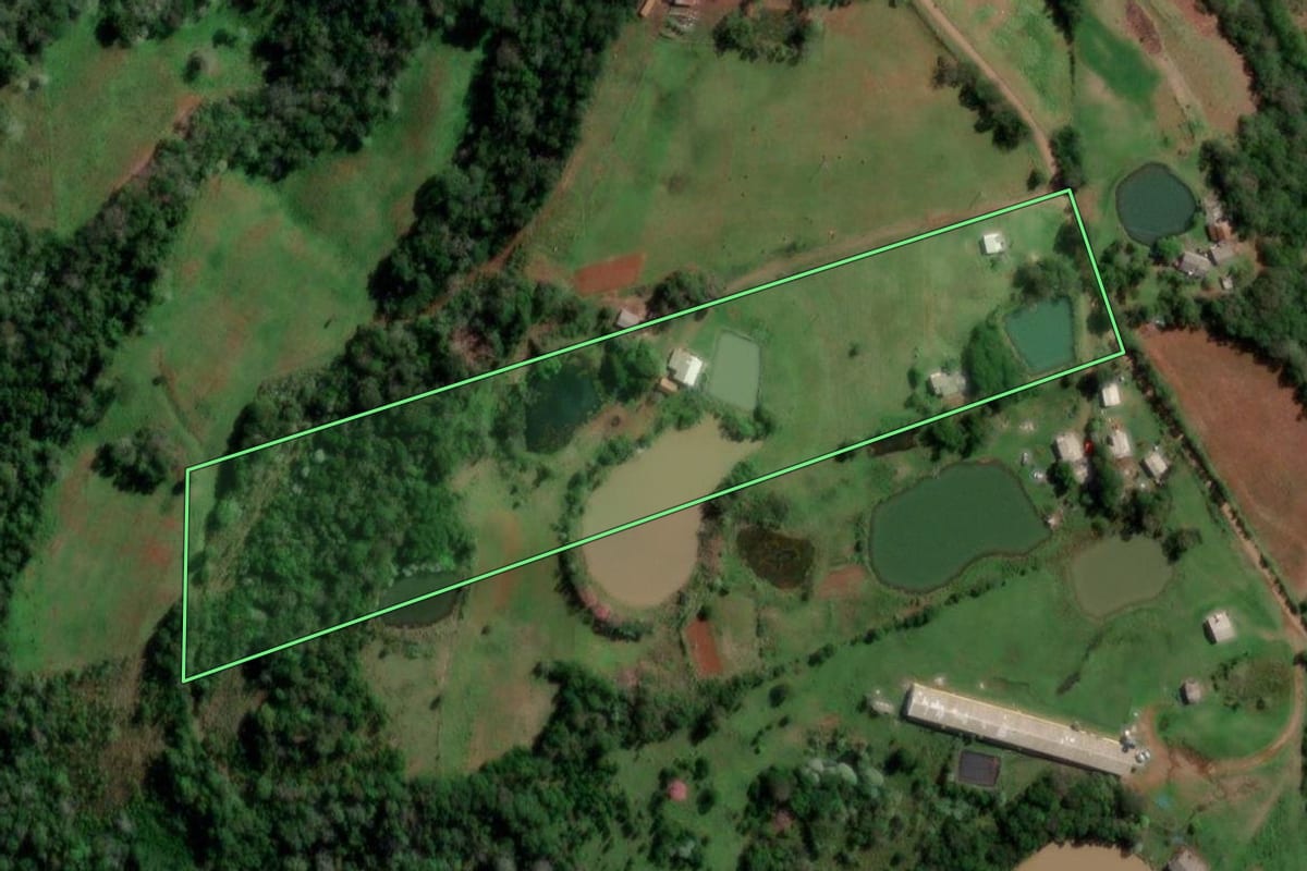 Imagem de satélite do imóvel rural em Palmitinho (RS), com o contorno declarado no CAR desenhado por cima.