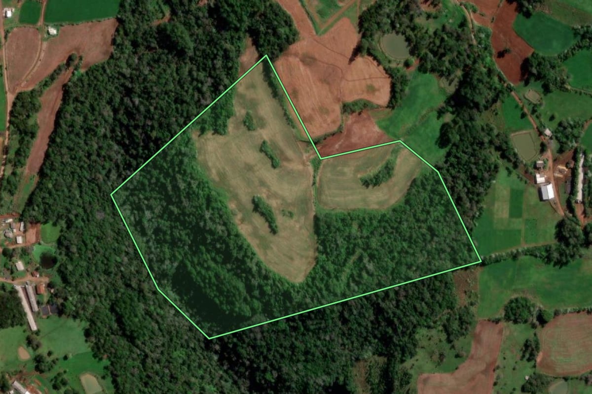 Imagem de satélite do imóvel rural em Palmitinho (RS), com o contorno declarado no CAR desenhado por cima.