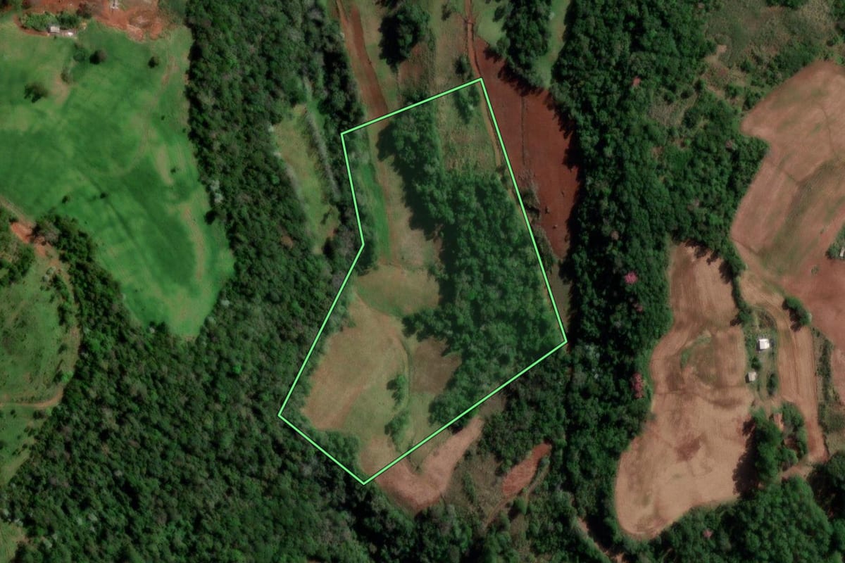 Imagem de satélite do imóvel rural em Palmitinho (RS), com o contorno declarado no CAR desenhado por cima.