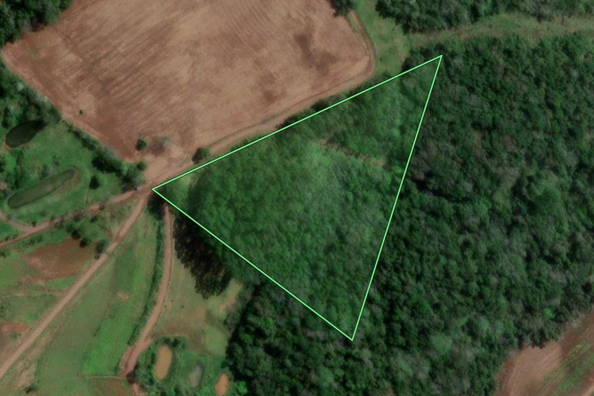 Imagem de satélite do imóvel rural em Palmitinho (RS), com o contorno declarado no CAR desenhado por cima.